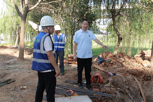 IMG_9155.jpg IMG_9155.jpg